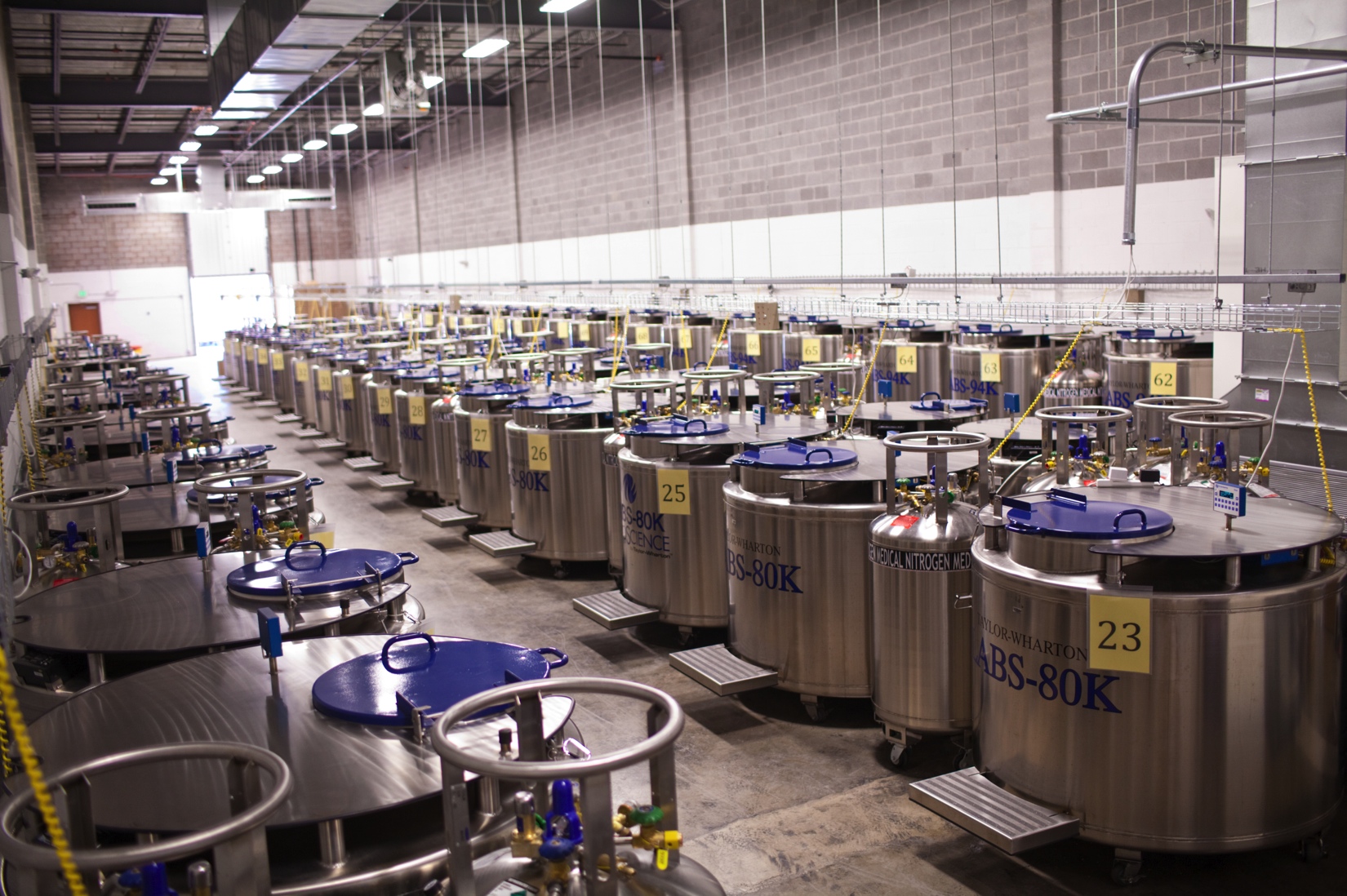 Rows of Freezers located in Johns Hopkins Biological Repository